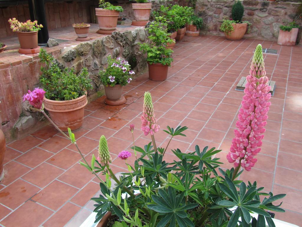 Ezcaray Turza Casa Rural Completa Hasta 8Pax Экстерьер фото